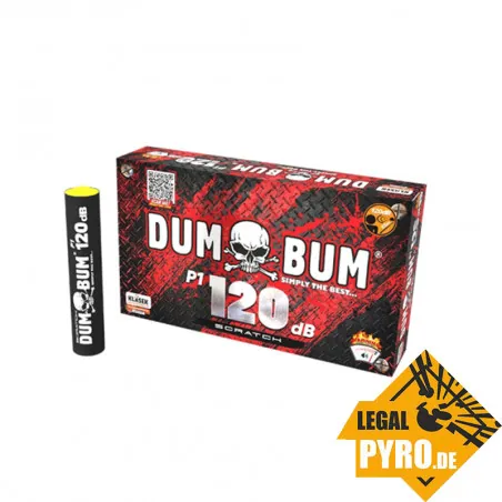 P10D20SP1 DumBum 120