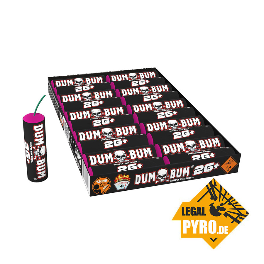 P5DU13(1) DumBum 2G+