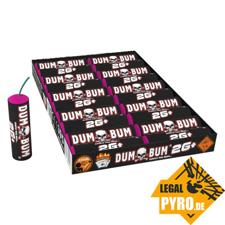 P5DU13(1) DumBum 2G+