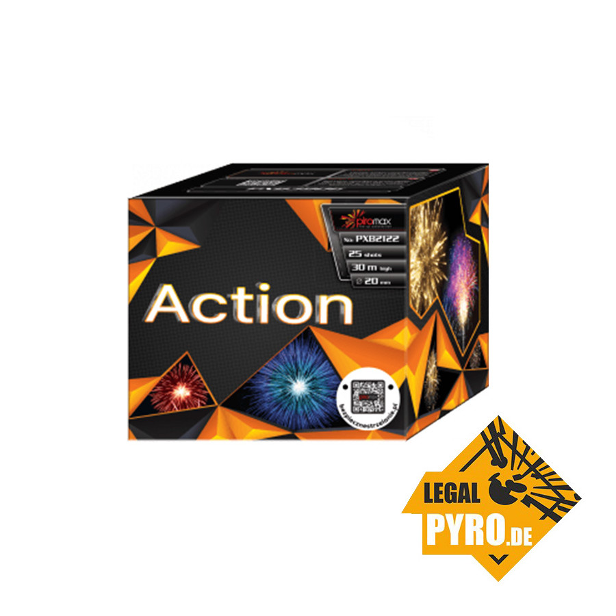 PXB2122 Action