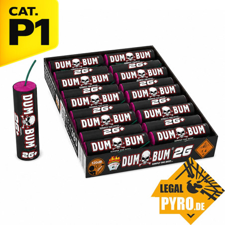 P5DU13(1) DumBum 2G+