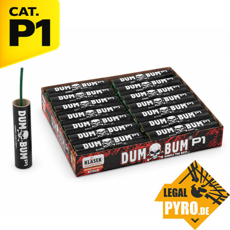 P066D20P1 DumBum P1