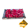 CL3503 Biedronka