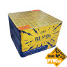 SFC15497 Blysk